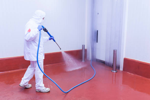 Best Driveway Pressure Washing  in Wyandanch, NY